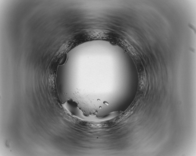 X0000093370473200710251158