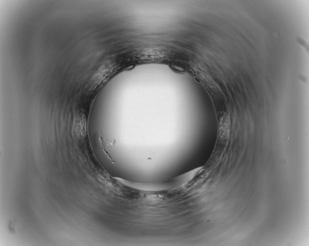 X0000093370474200710251158