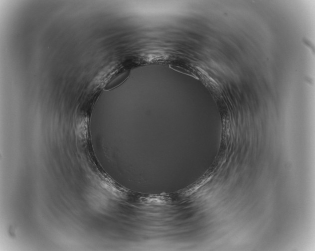 X0000093370475200710251158