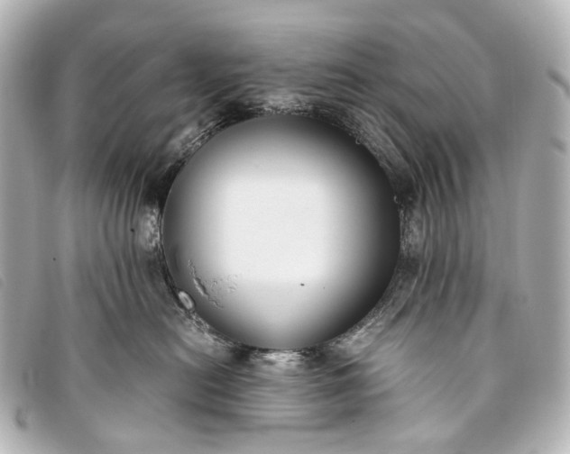 X0000093370478200710251158