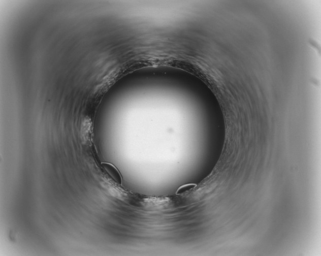 X0000093370480200710251158