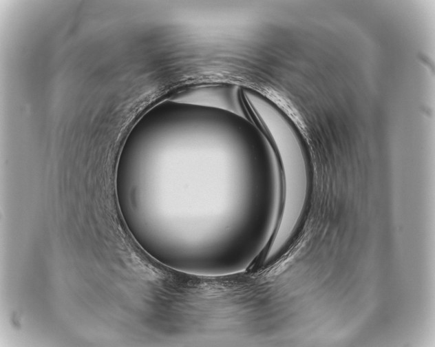 X0000093370481200710251157