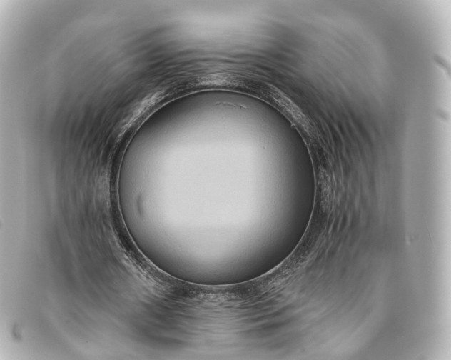 X0000093370482200710251157