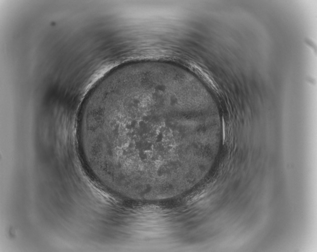 X0000093370483200710251157