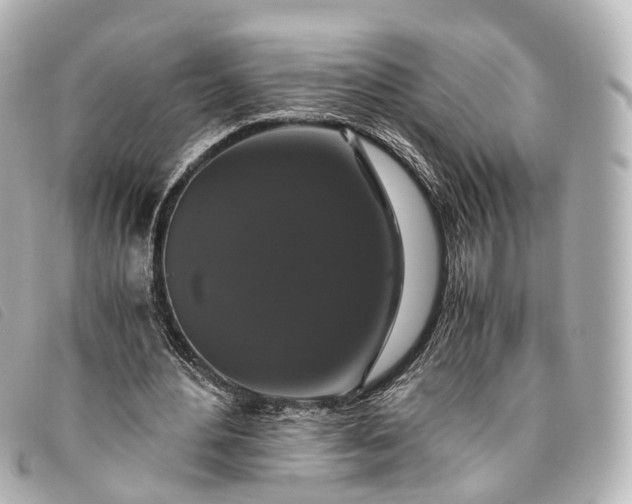 X0000093370484200710251157