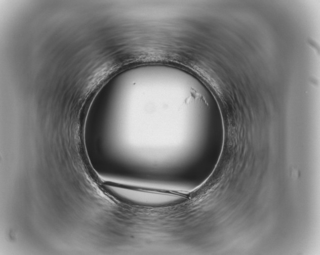 X0000093370485200710251157