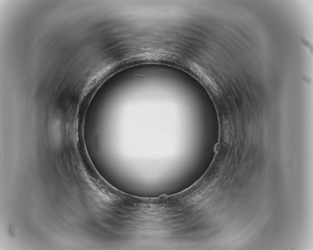 X0000093370486200710251157