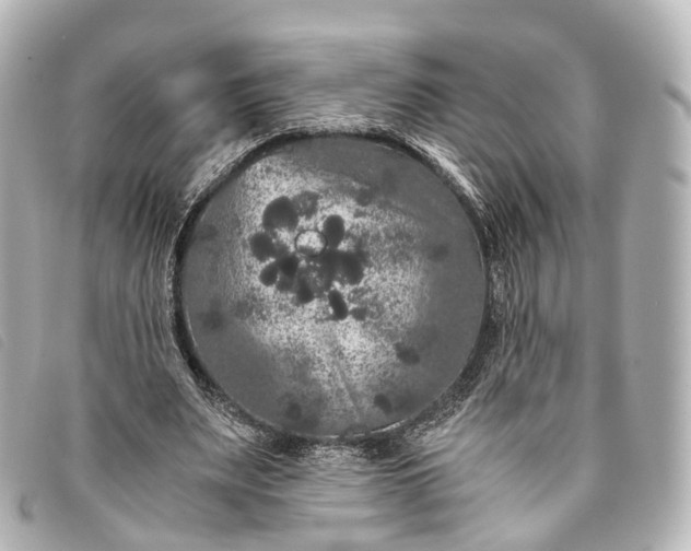 X0000093370487200710251157