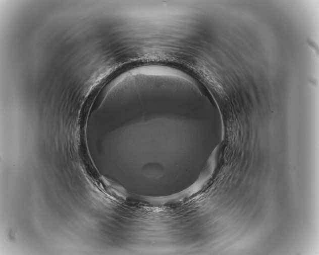 X0000093370488200710251157