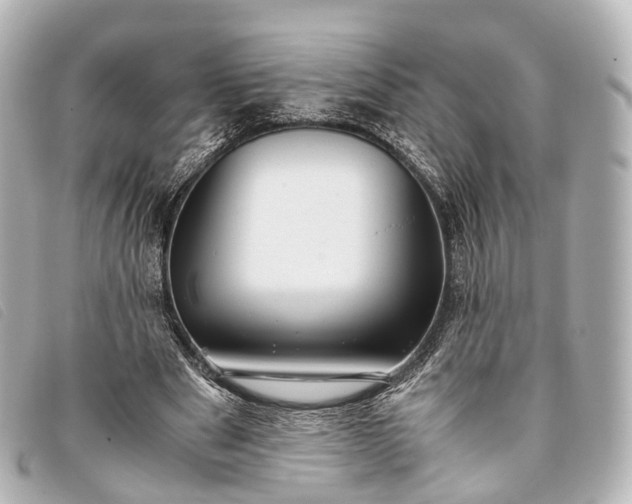 X0000093370489200710251157