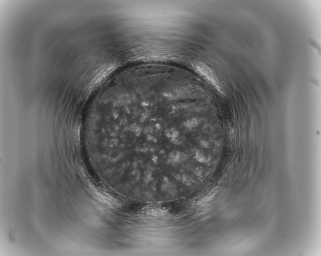 X0000093370491200710251157