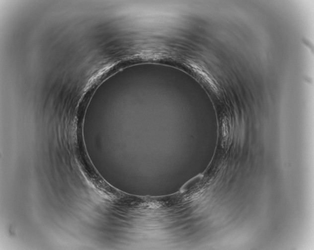 X0000093370492200710251157