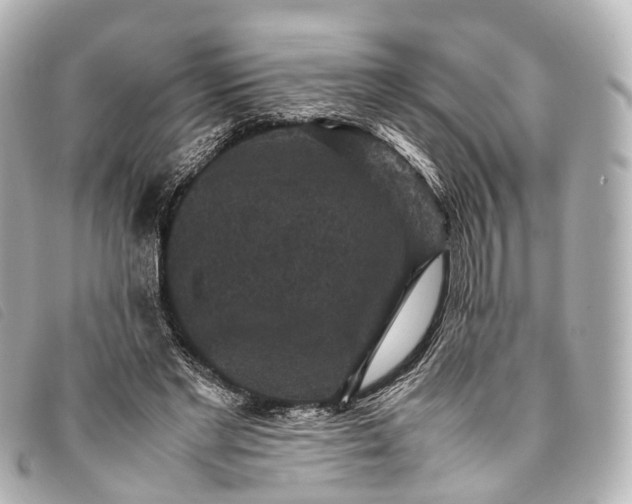 X0000093370493200710251157