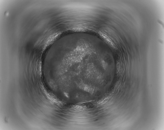 X0000093370494200710251157