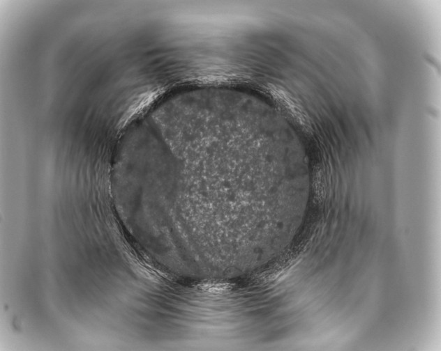 X0000093370495200710251157