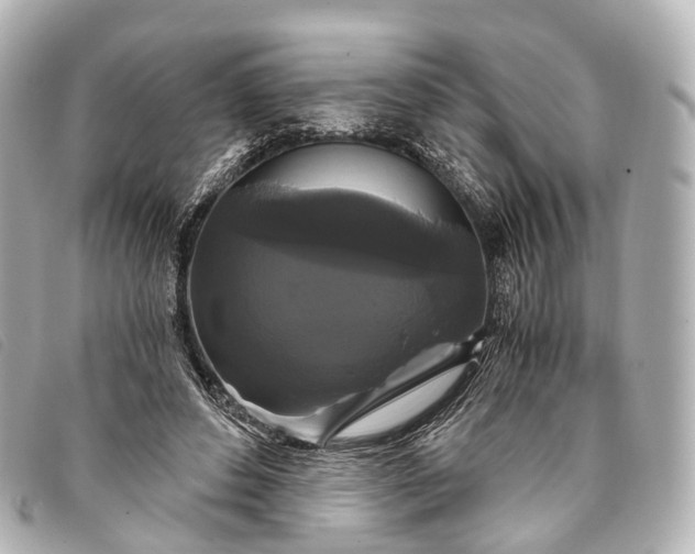 X0000093370496200710251157