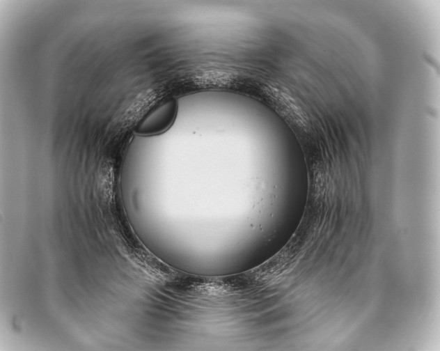 X0000093370498200710251157