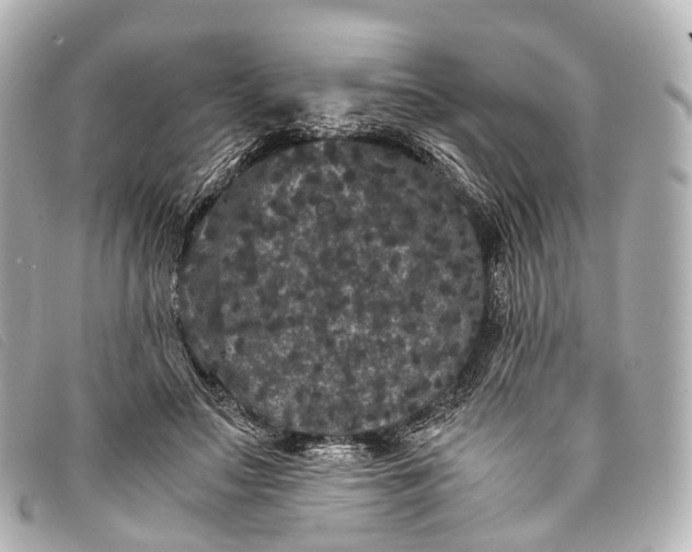 X0000093370499200710251157