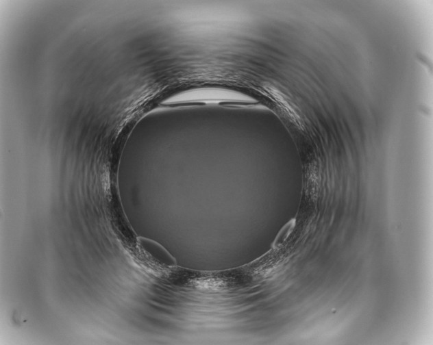 X0000093370500200710251157