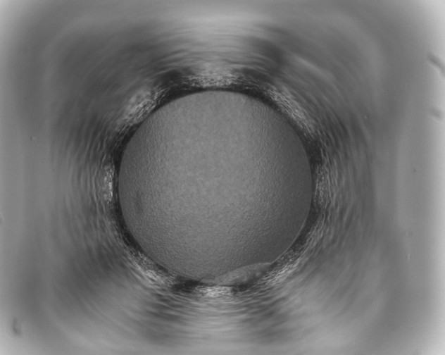 X0000093370501200710251157