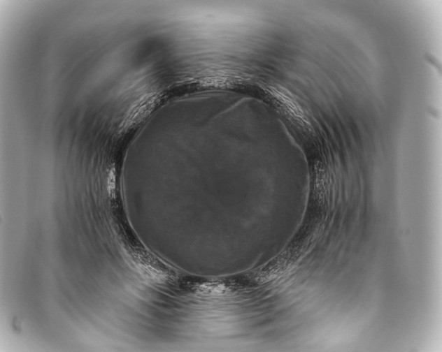 X0000093370502200710251157