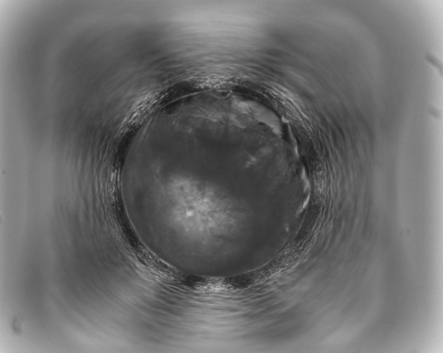 X0000093370503200710251157