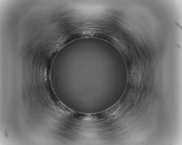 X0000093370504200710251157