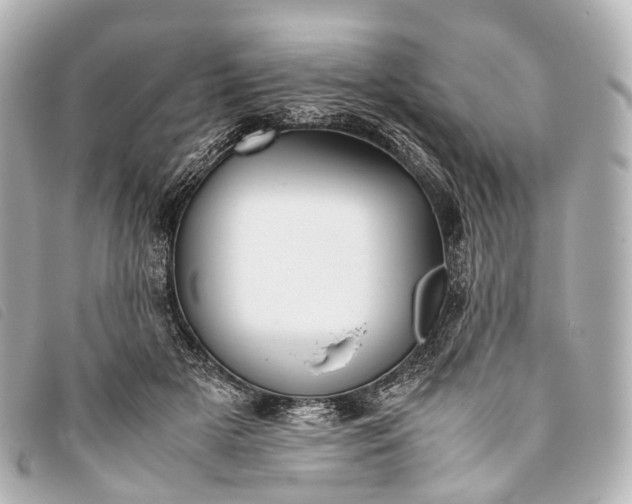 X0000093370505200710251157