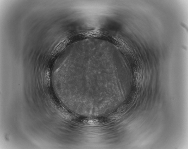 X0000093370506200710251157