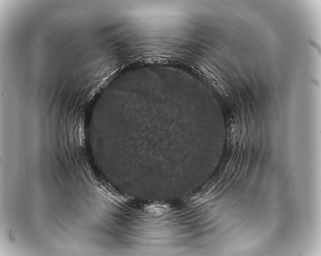 X0000093370508200710251157