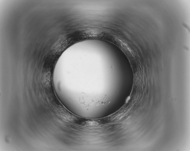 X0000093370509200710251156