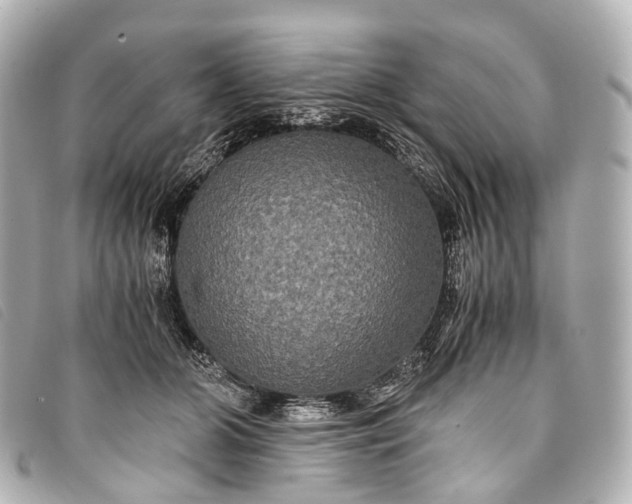 X0000093370510200710251156