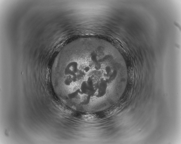 X0000093370511200710251156