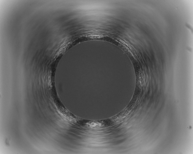 X0000093370512200710251156