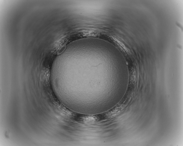 X0000093370513200710251156