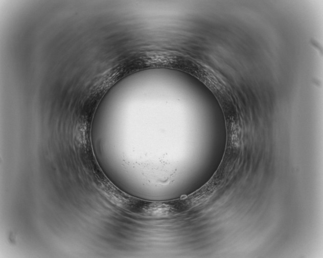 X0000093370514200710251156