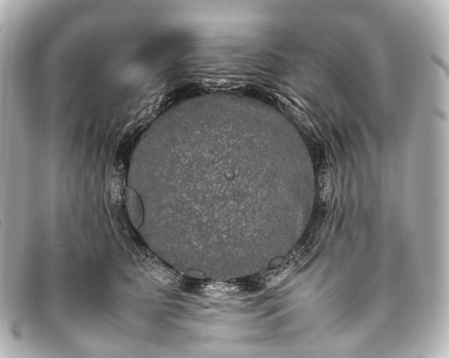 X0000093370515200710251156