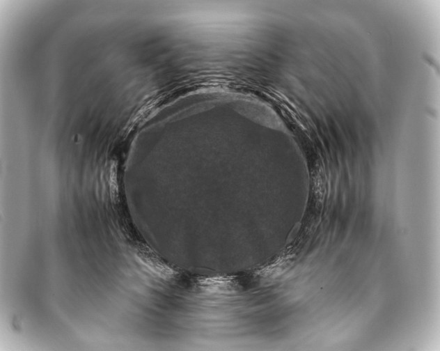 X0000093370516200710251156