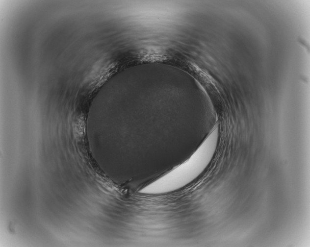 X0000093370517200710251156