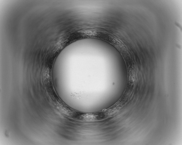 X0000093370518200710251156