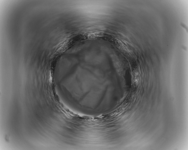 X0000093370519200710251156