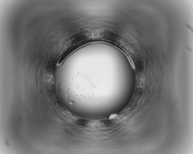 X0000093370521200710251156