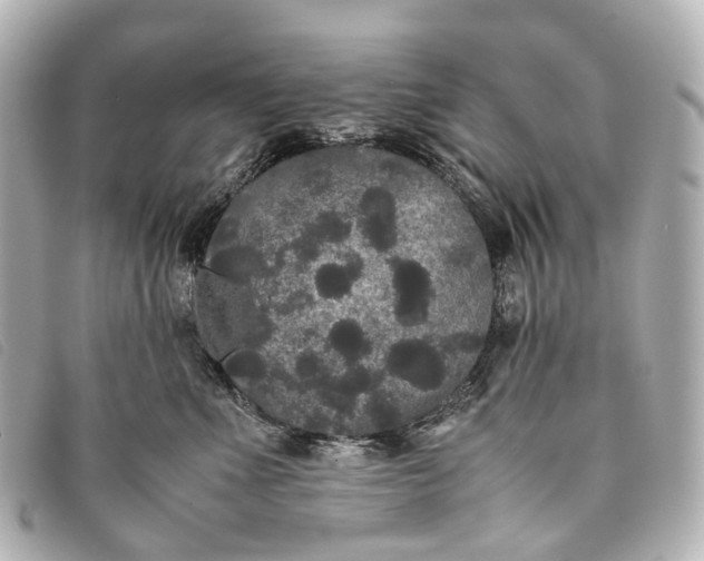 X0000093370523200710251156