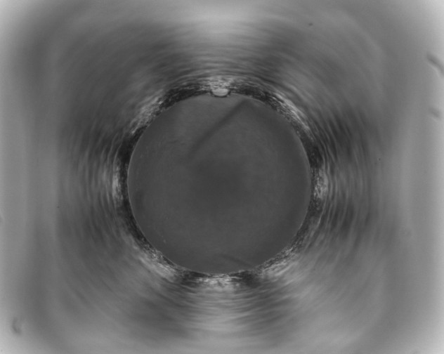 X0000093370524200710251156