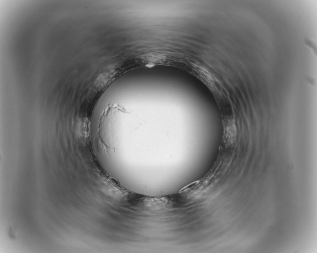 X0000093370525200710251156