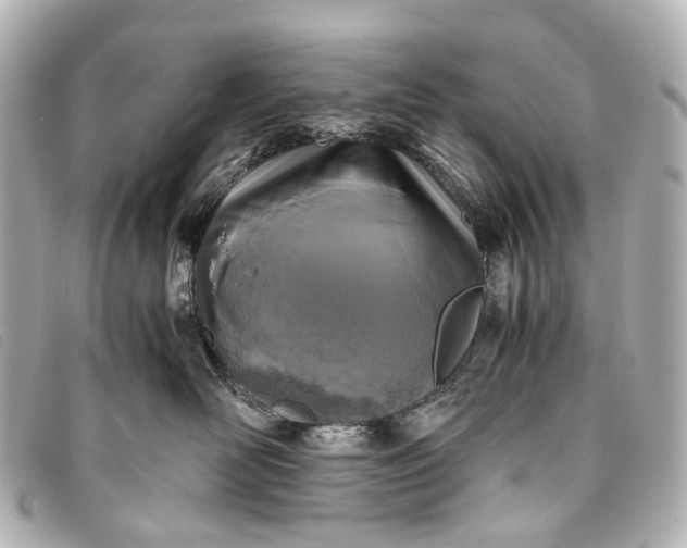 X0000093370526200710251156