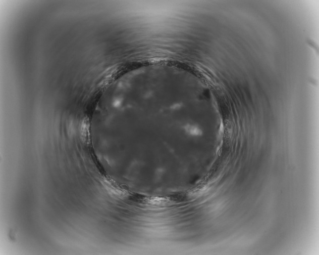 X0000093370527200710251156