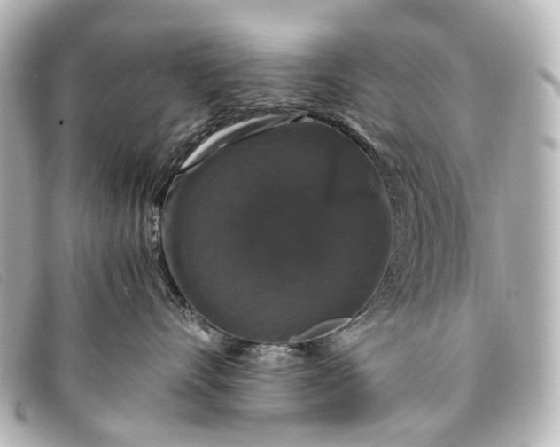 X0000093370528200710251156