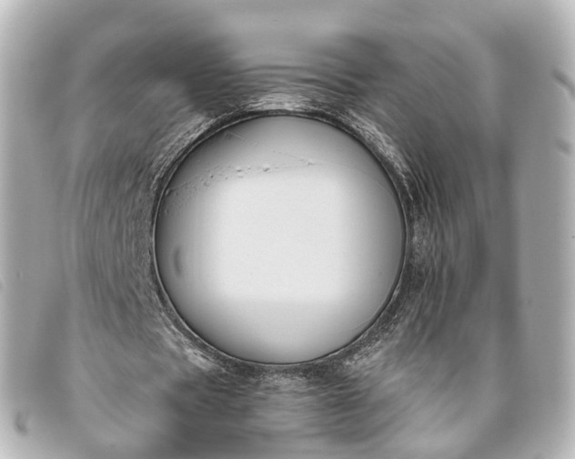 X0000093370529200710251156