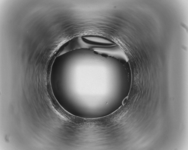 X0000093370530200710251156